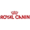 Saudi Arabia Premium  Dog Foods Jeddah's picture